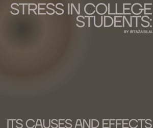 Stress in College Students: Its Causes and Effects By Irtaza Bilal, Co-founder of 28 Credentials of Entrepreneur