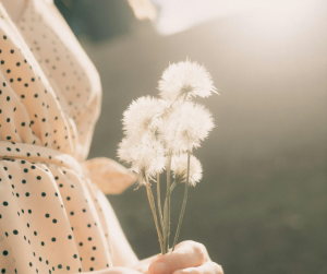 Reviving the Spirit of Kindness: A Journey of Hope and Gratitude